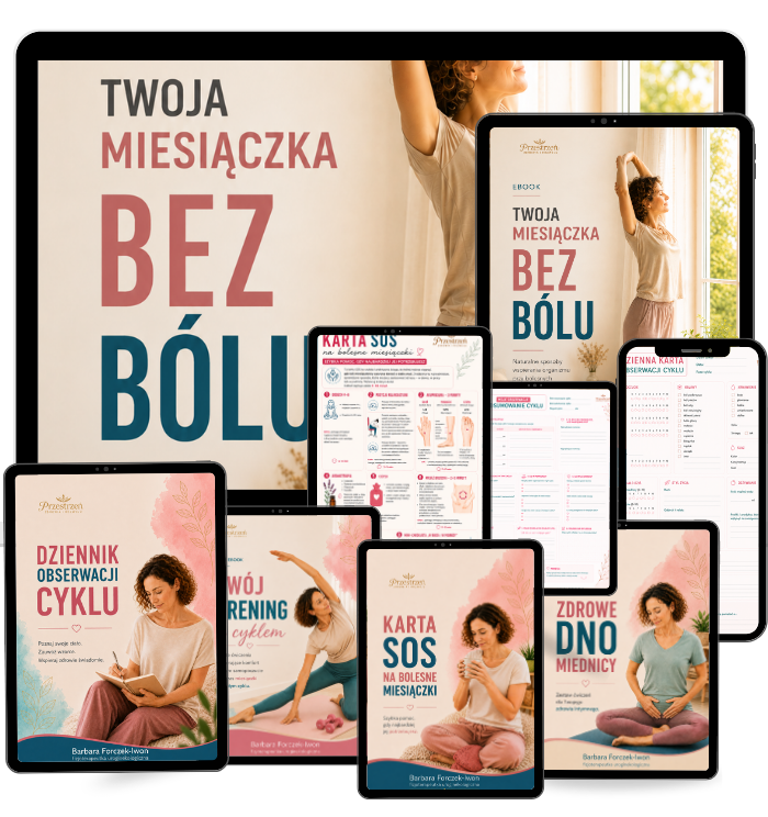 Ebook + bonusy